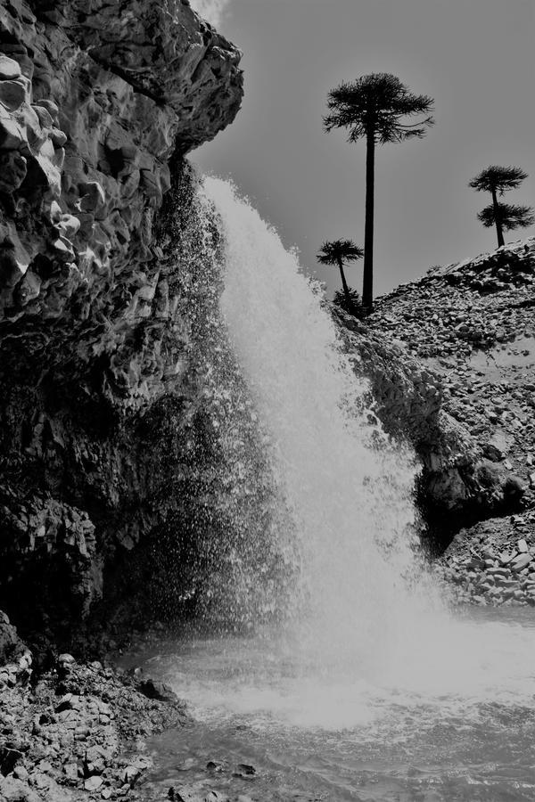 Cabanas Agua Clara Villa Pehuenia Bagian luar foto